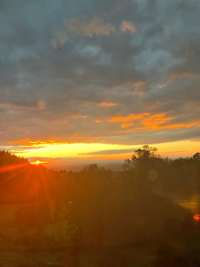 Foto - 14