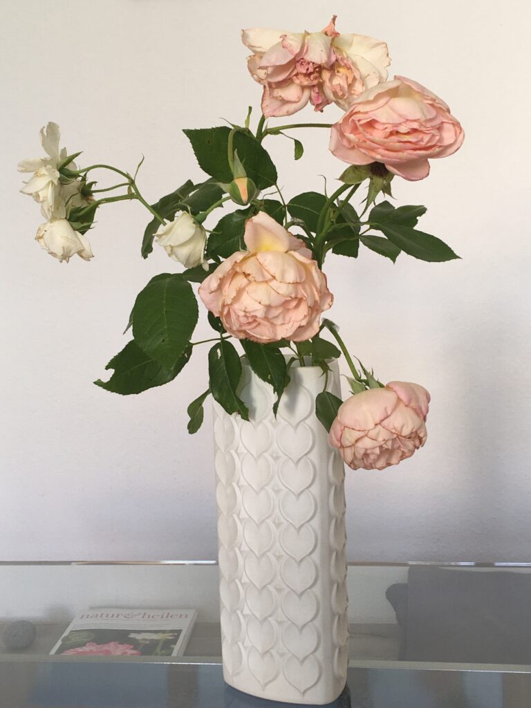 Foto - 2
